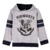 Προβολή προϊόντος Hoodie cotton brushed Harry Potter